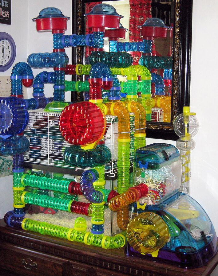 hamster tubes and tunnels
