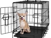 Dog Crate Replacement Tray: 5 Key Things to Look For