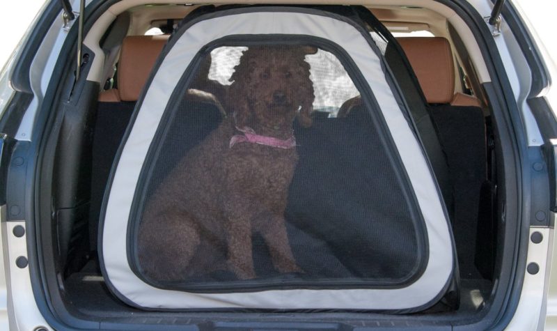 How to Choose the Best Dog Crate for Car