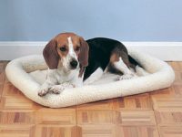 Different Types of Dog Crate Mats: Which one is Perfect for Your Dog?