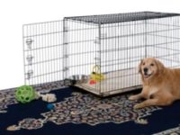 Largest Dog Crates Review