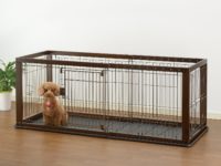 Top 5 Best Adjustable Dog Crates for Growing Puppies