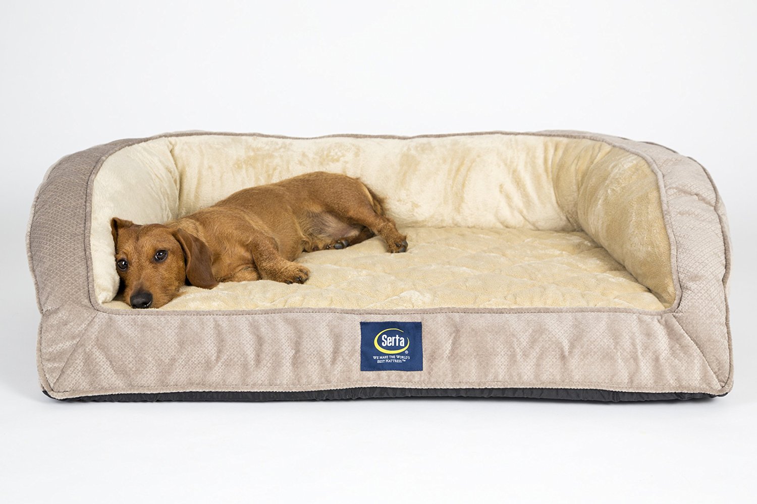 Собачья кровать для человека