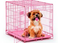 The Perfect Pink Dog Crate