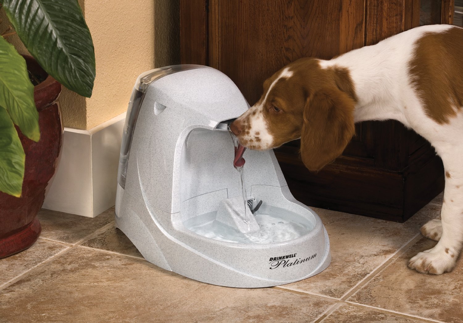 Automatic Dog Waterer | All Pet Cages