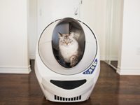 Cat Litter Box That Gives Ease and Convenience