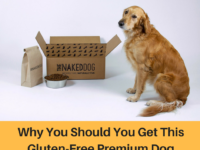 The Naked Dog Box Review – Why Should You Get This Gluten-Free Premium Dog Food?