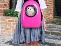 Cat Backpack with Bubble Window: The Innovative Way to Travel with Your Cat