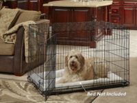 Folding Dog Crate: Convenience for You, Safety and Security for Your Pet