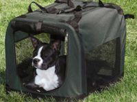 Portable Dog Crate: Your Good Helper When Traveling With Your Pet