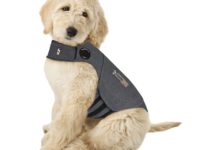 Thunder Jacket for Dogs: Keep Your Pet Calm During Stressful Situations
