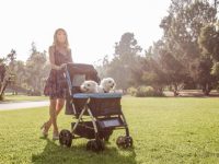 Heavy Duty Dog Strollers For Large / Multiple Dogs