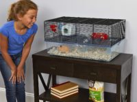 favola-hamster-cage