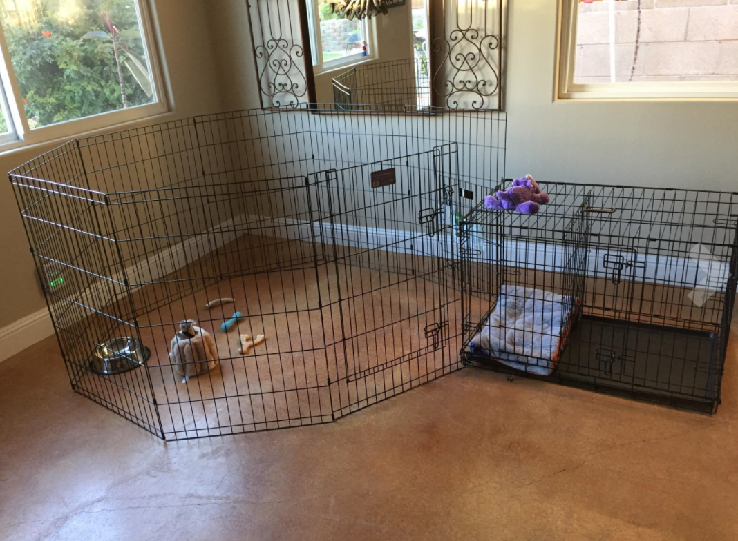 midwest-expandable-dog-crate