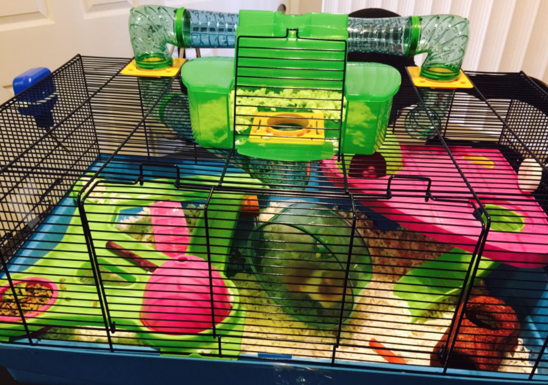 savic hamster cage