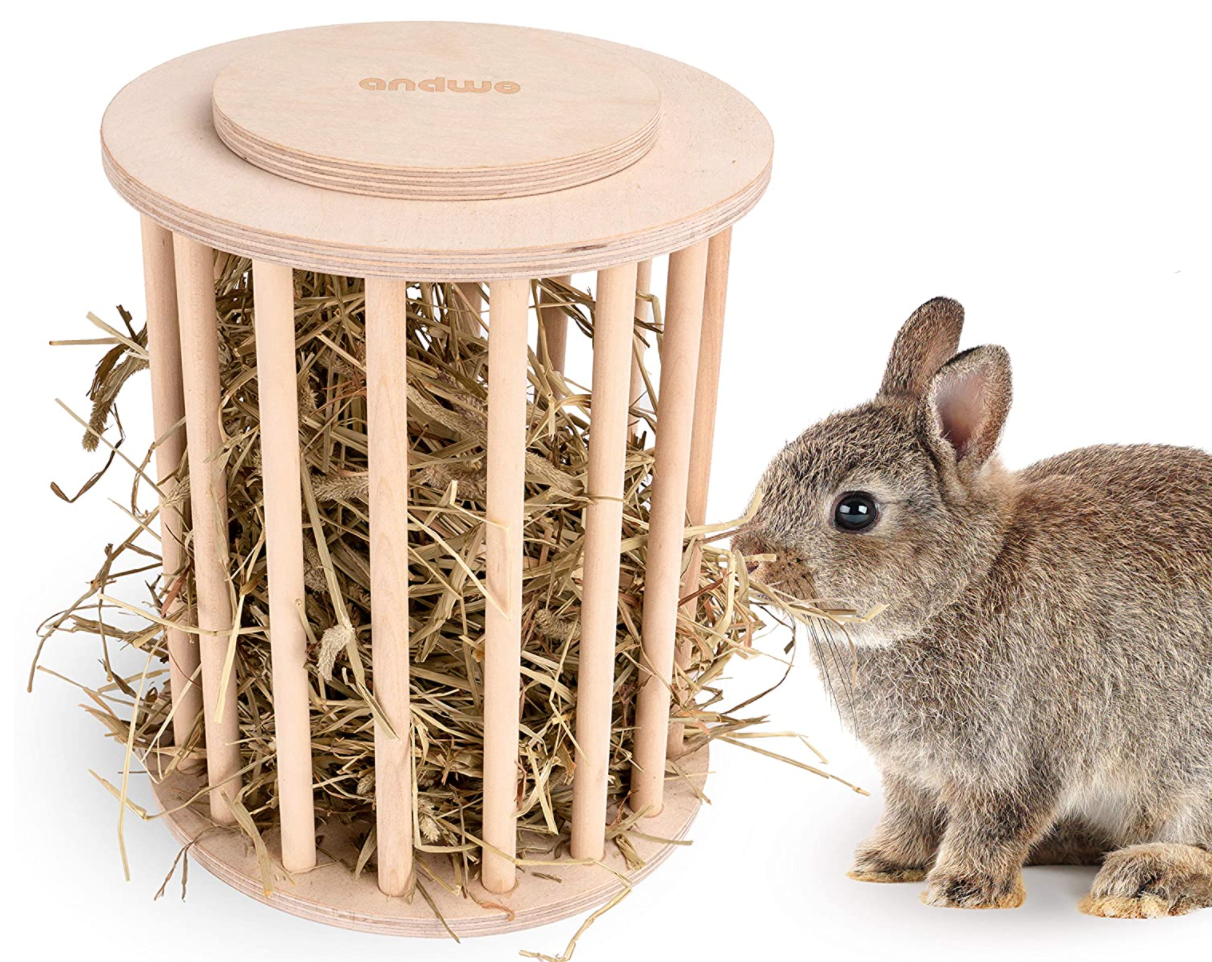 bunny hay feeder