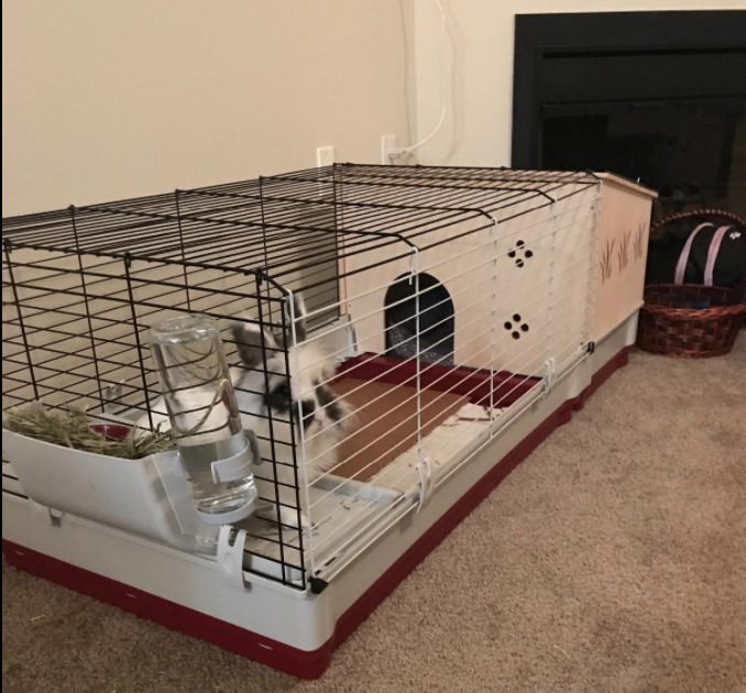 krolik largest indoor bunny hutch