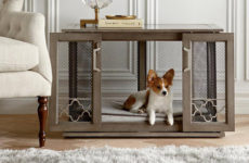 Modern Dog Crates That Match Your Home Style