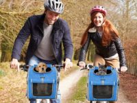 How can I take my dog on a bike ride? Best dog baskets, dog backpacks and dog trailers for bike