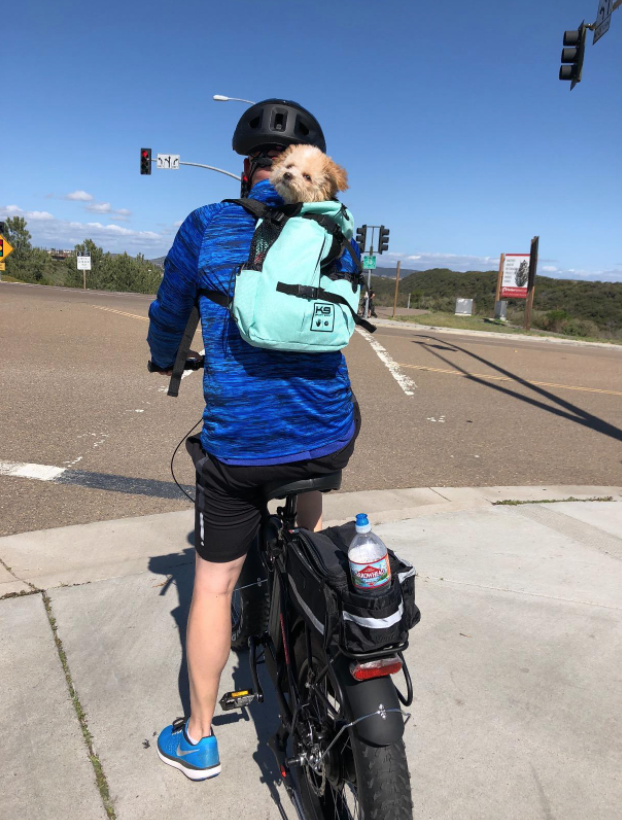 k9 sport sack dog backpack for bike