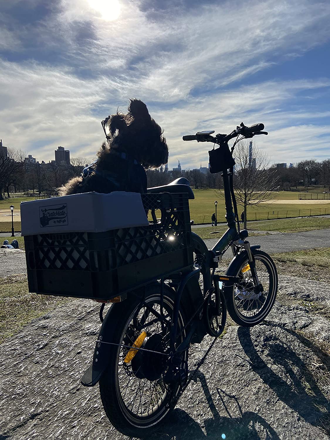 ruffLyfe diy crate conversion dog bike basket